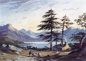 Escena del lago